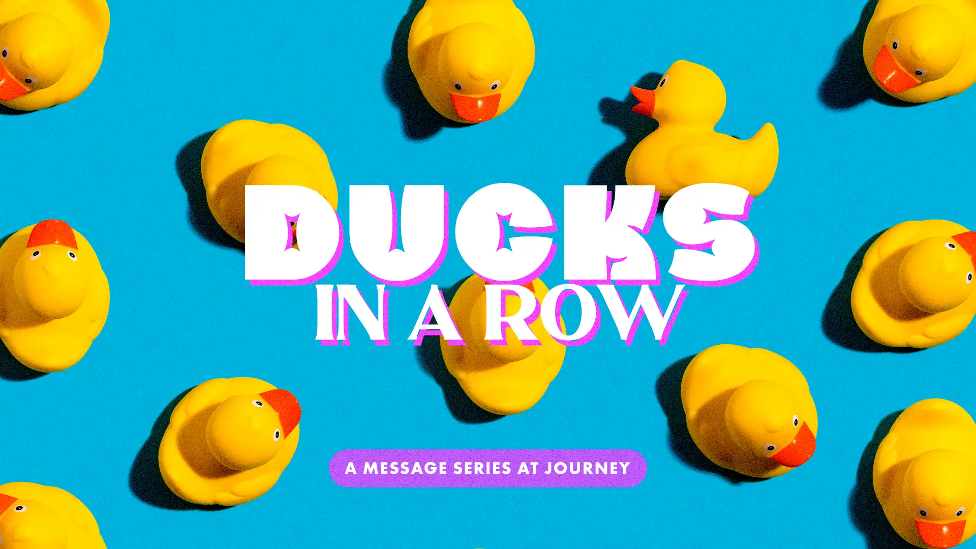 16x9_DucksInARow